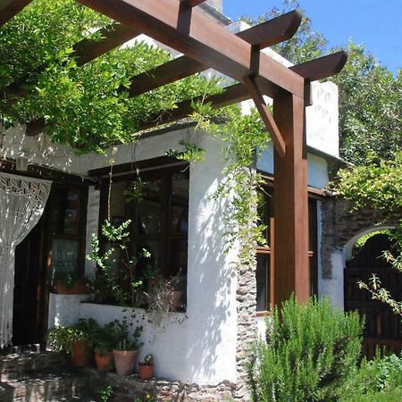 Gasthaus Casa Africa Mecina Fondales Exterior foto